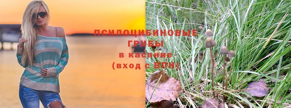 мяу мяу мука Пересвет