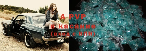 гашик Аркадак