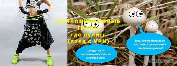 гашик Аркадак
