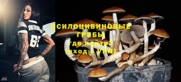 мескалин Арсеньев